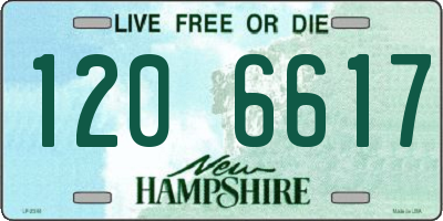 NH license plate 1206617