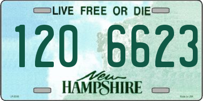 NH license plate 1206623