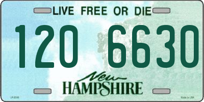 NH license plate 1206630