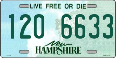 NH license plate 1206633