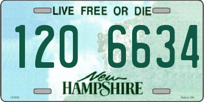 NH license plate 1206634