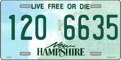 NH license plate 1206635