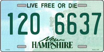 NH license plate 1206637