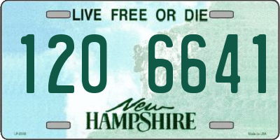 NH license plate 1206641