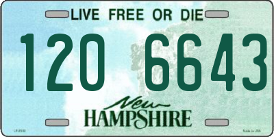 NH license plate 1206643