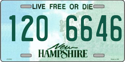 NH license plate 1206646