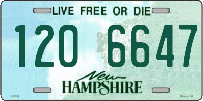 NH license plate 1206647