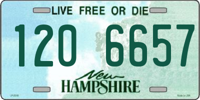 NH license plate 1206657