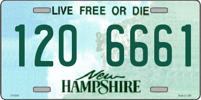 NH license plate 1206661