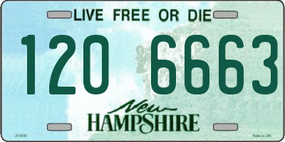 NH license plate 1206663