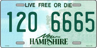 NH license plate 1206665