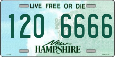 NH license plate 1206666