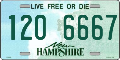 NH license plate 1206667