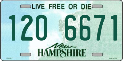 NH license plate 1206671