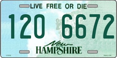 NH license plate 1206672