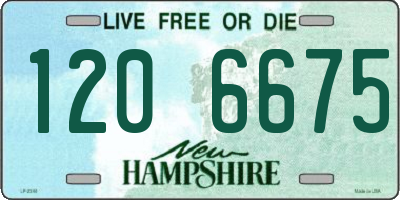 NH license plate 1206675