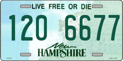NH license plate 1206677