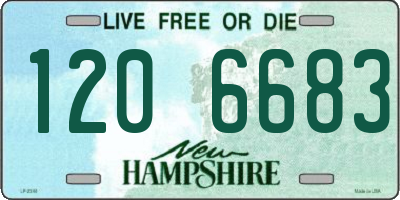 NH license plate 1206683