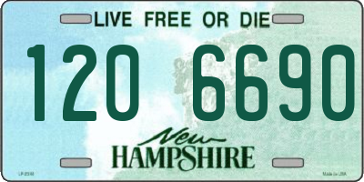 NH license plate 1206690