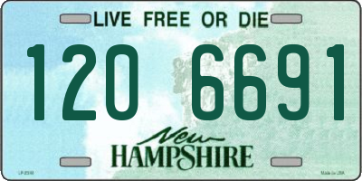 NH license plate 1206691