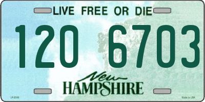 NH license plate 1206703