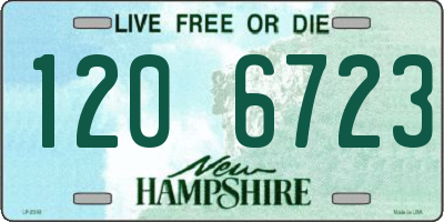 NH license plate 1206723