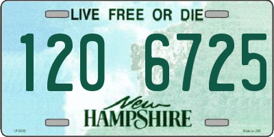 NH license plate 1206725
