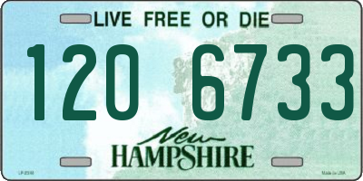 NH license plate 1206733