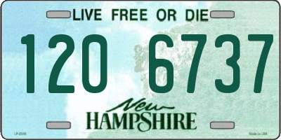 NH license plate 1206737
