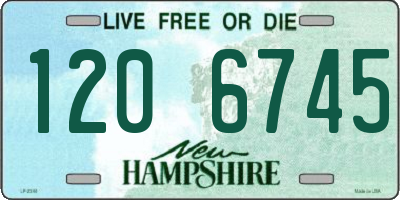 NH license plate 1206745