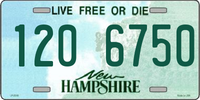 NH license plate 1206750