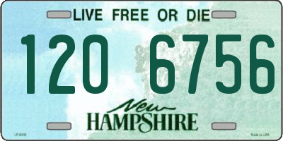 NH license plate 1206756