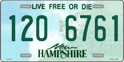 NH license plate 1206761