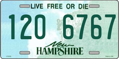 NH license plate 1206767