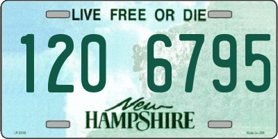 NH license plate 1206795