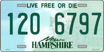 NH license plate 1206797