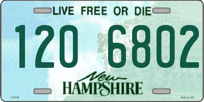 NH license plate 1206802