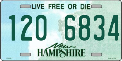 NH license plate 1206834