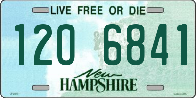 NH license plate 1206841