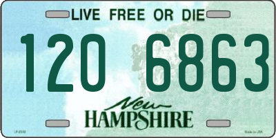 NH license plate 1206863