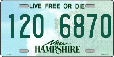NH license plate 1206870