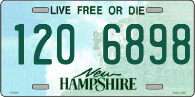 NH license plate 1206898
