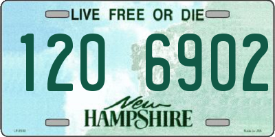 NH license plate 1206902