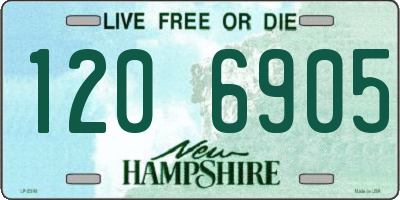 NH license plate 1206905