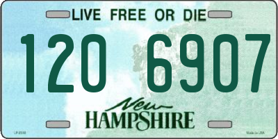 NH license plate 1206907