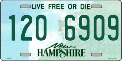 NH license plate 1206909