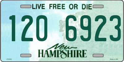 NH license plate 1206923