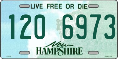 NH license plate 1206973