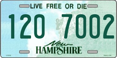 NH license plate 1207002
