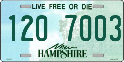 NH license plate 1207003